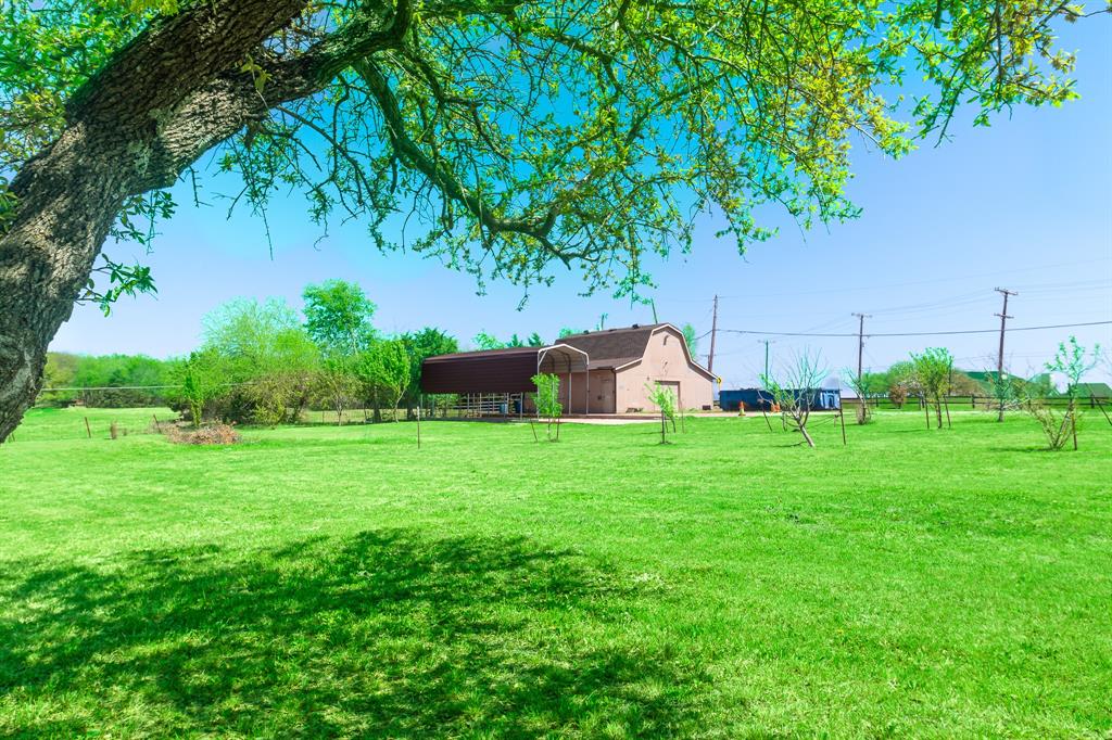 13 Crestview Circle Rockwall, TX 75087 - Photo 36 of 37 a view of a backyard with plants and a large tree