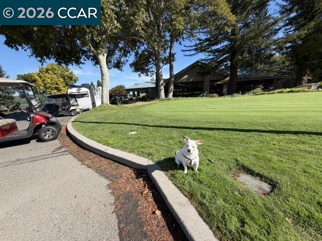 1116 Running Springs Road, Unit 7 Walnut Creek, CA 94595 - Photo 20 of 24 Gallery Image 20