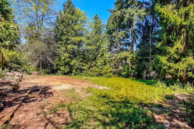 a view of a yard with a tree