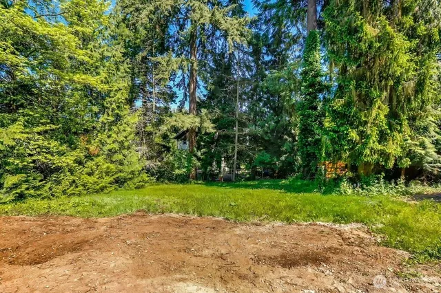 a view of a yard with plants and large trees