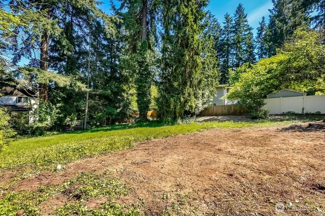 a view of a yard with plants and trees