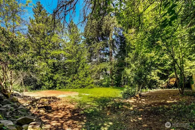 a view of a yard with a tree