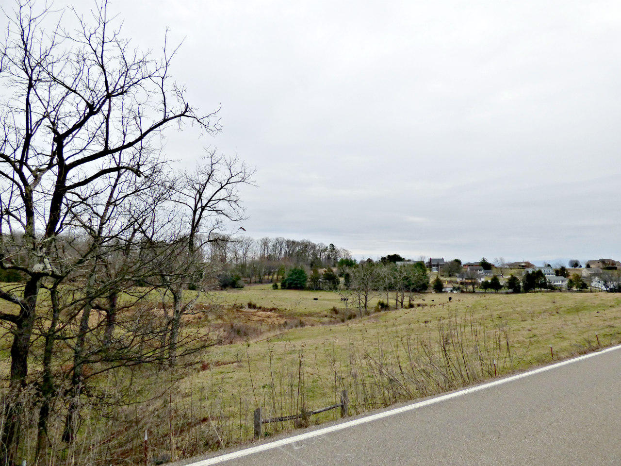 Lot 3 Valley Home Road Dandridge, TN 37725 - Photo 3 of 6 P1180180