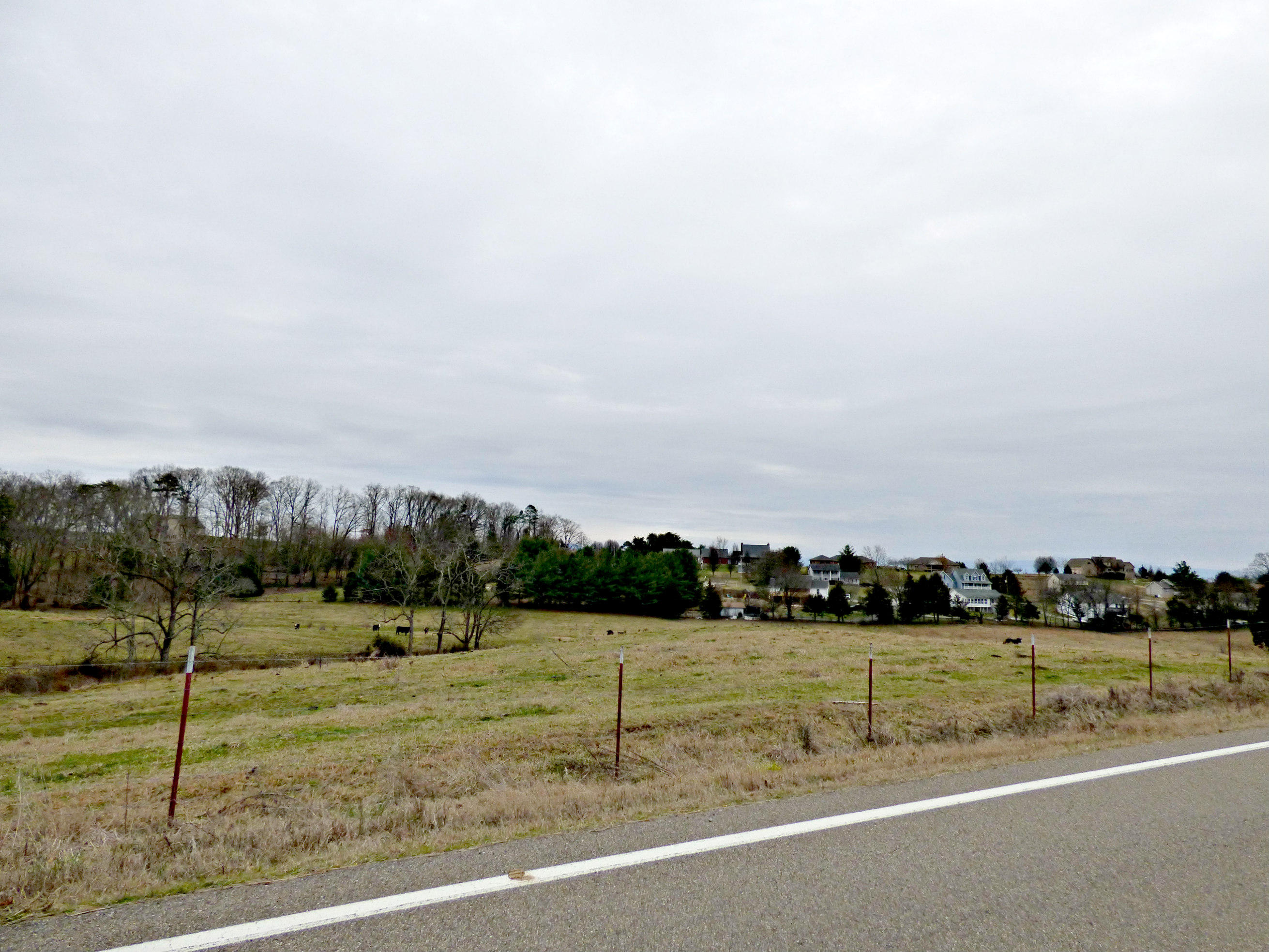 Lot 3 Valley Home Road Dandridge, TN 37725 - Photo 4 of 6 P1180182