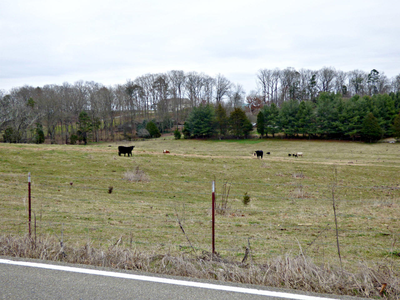Lot 3 Valley Home Road Dandridge, TN 37725 - Photo 5 of 6 P1180184