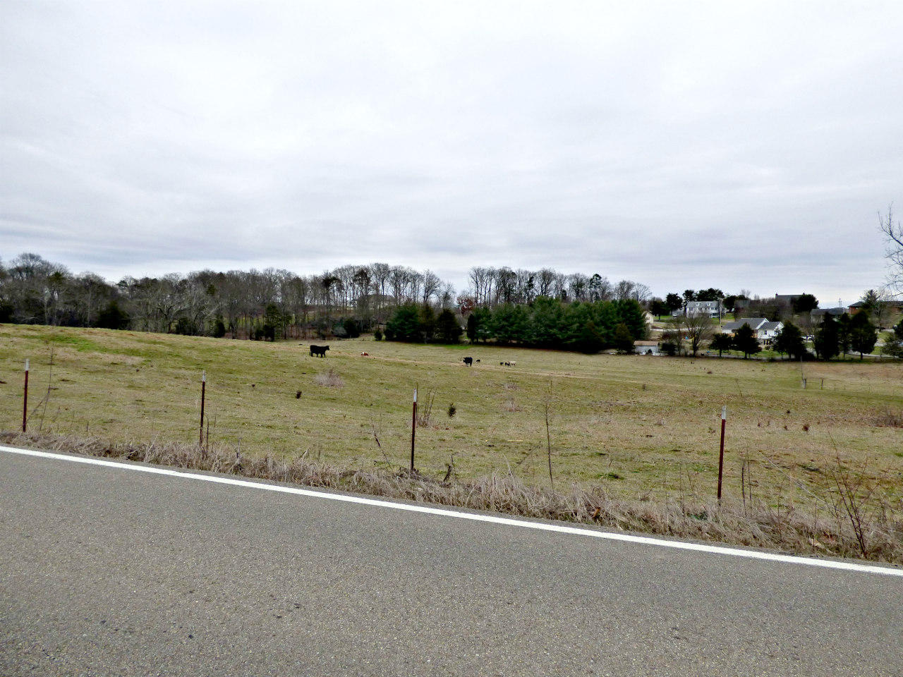 Lot 3 Valley Home Road Dandridge, TN 37725 - Photo 6 of 6 P1180185