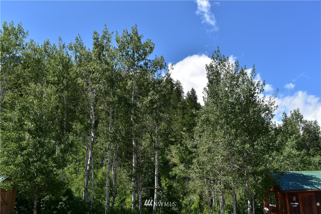 1 Davis Lake Road Winthrop, WA 98862 - Photo 14 of 19 Gallery Image 14