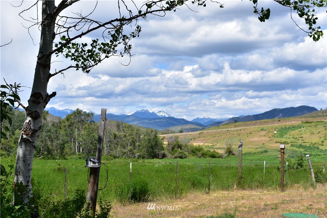 1 Davis Lake Road Winthrop, WA 98862 - Photo 19 of 19 Gallery Image 19