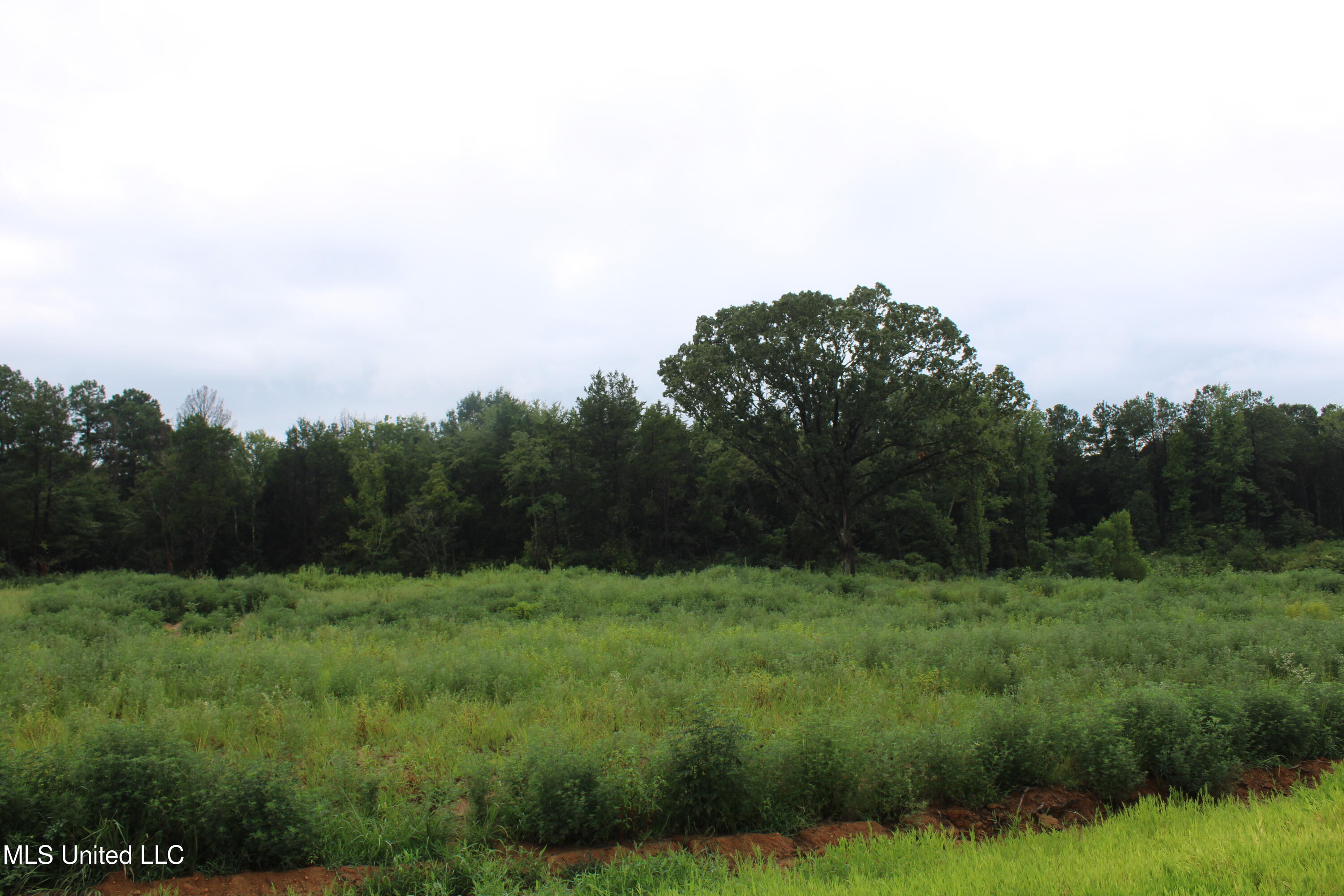 5 Taylor Nichole Road Byhalia, MS 38611 - Photo 13 of 22 IMG_2096