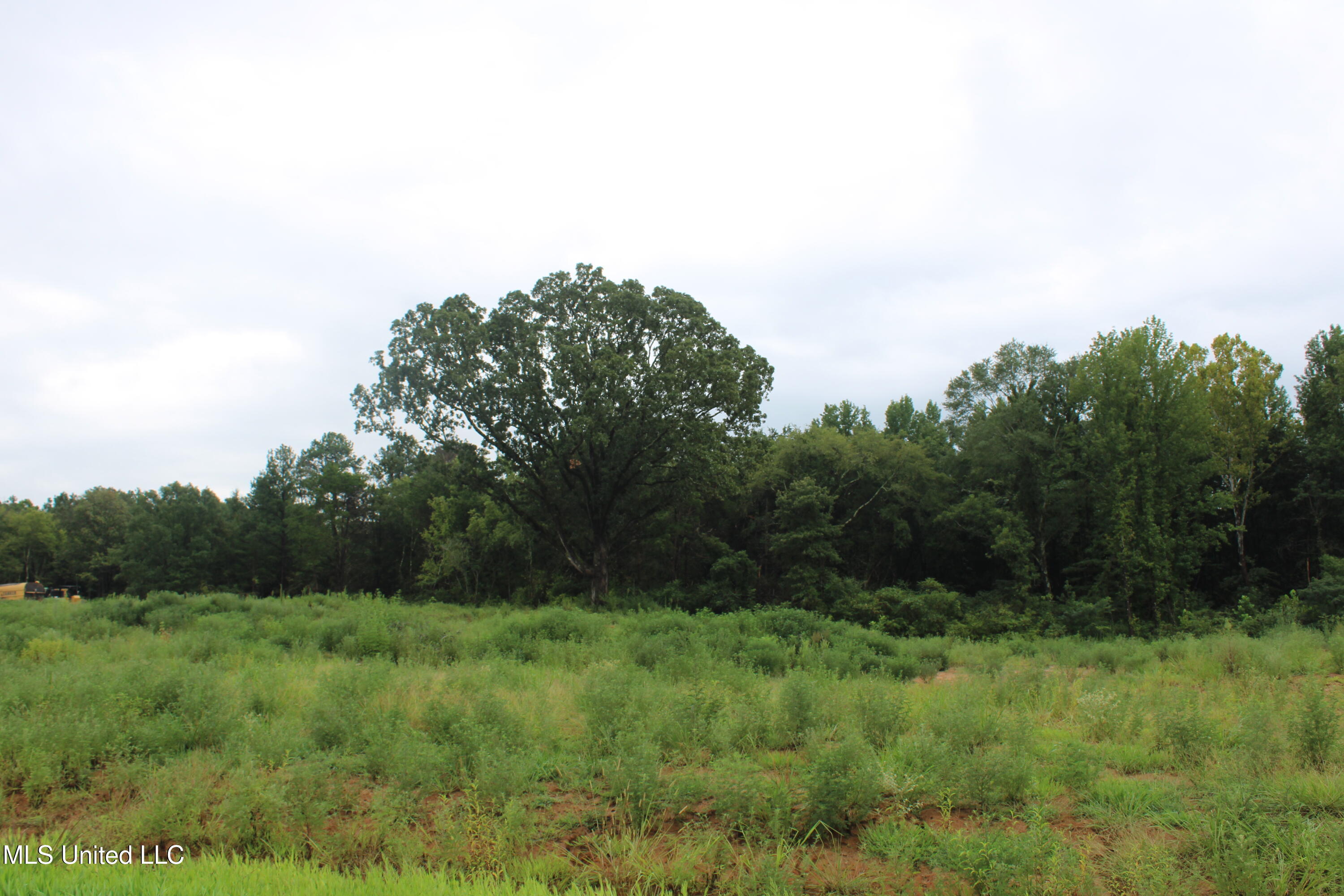 5 Taylor Nichole Road Byhalia, MS 38611 - Photo 16 of 22 IMG_2099