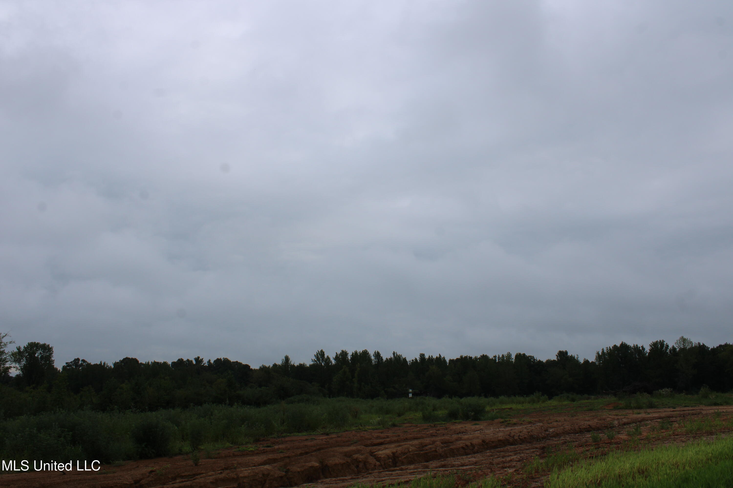 5 Taylor Nichole Road Byhalia, MS 38611 - Photo 20 of 22 IMG_2103