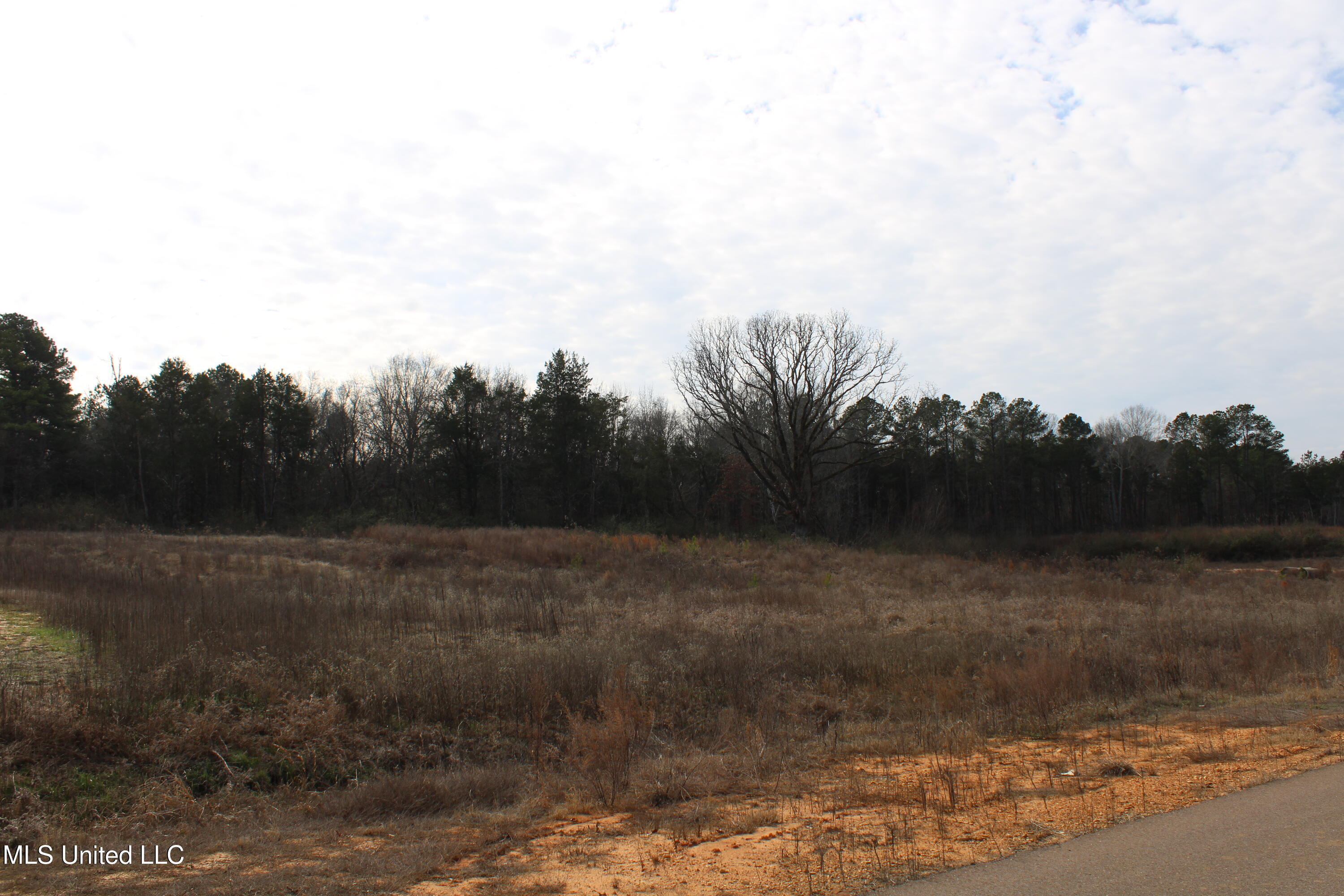 5 Taylor Nichole Road Byhalia, MS 38611 - Photo 3 of 22 IMG_7149