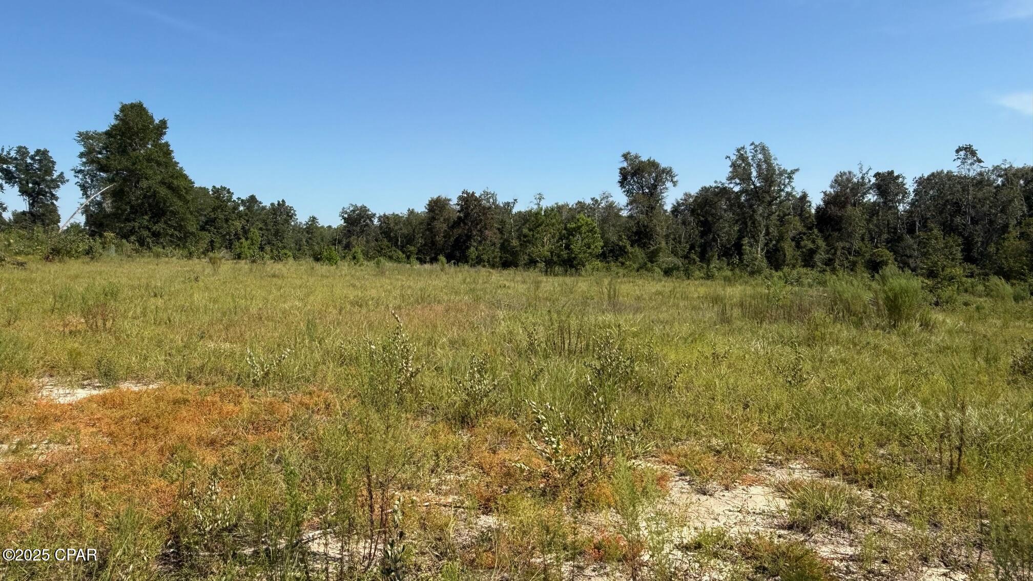 0 Jewell Road Chipley, FL 32428 - Photo 3 of 5