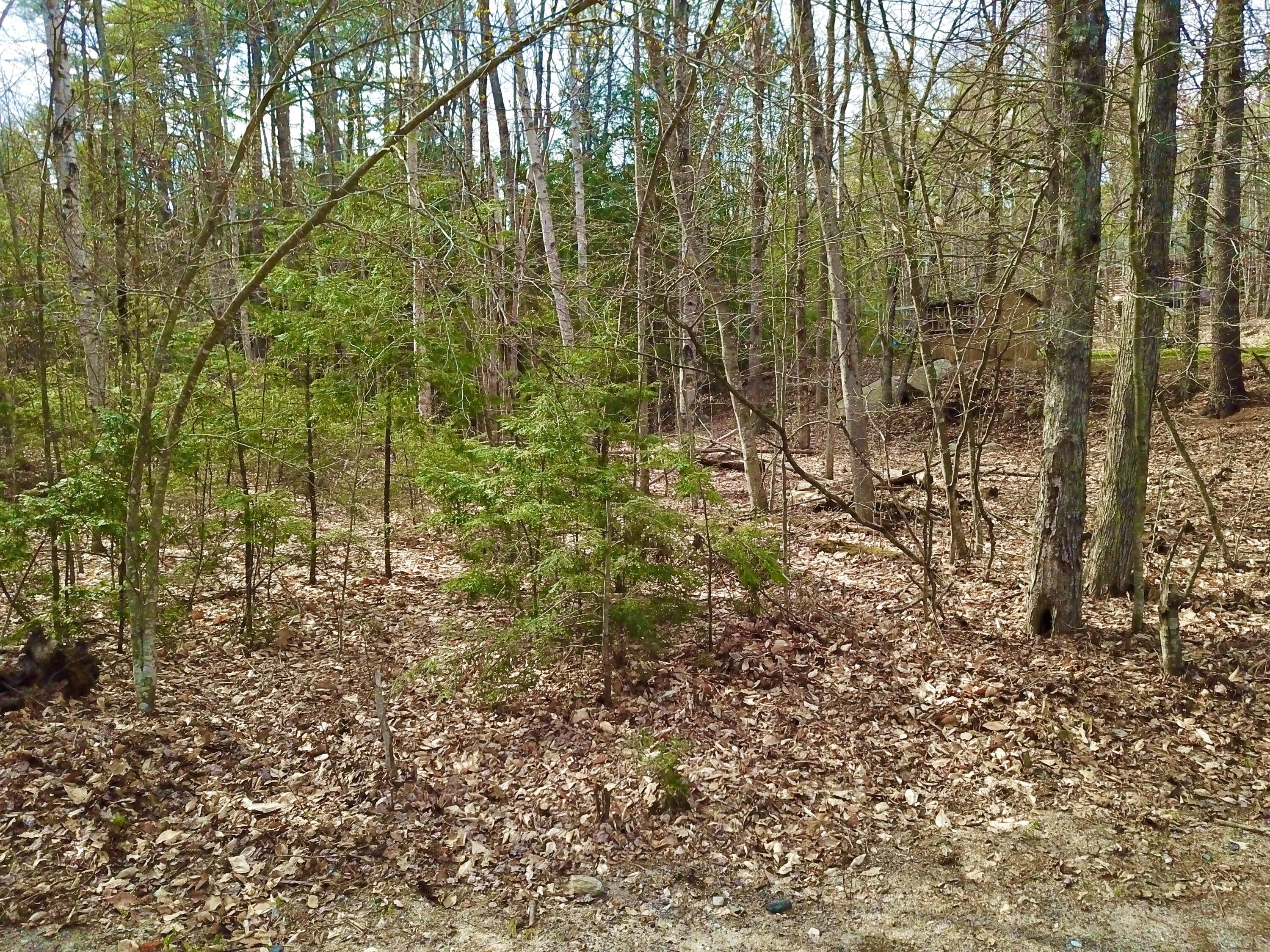 6 Chickadee Lane Sebago, ME 04029 - Photo 2 of 8 DJI_0297