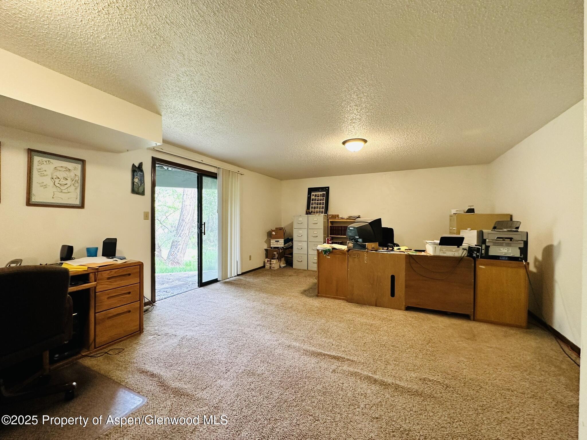 1024 East Avenue Rifle, CO 81650 - Photo 15 of 21 IMG_1734
