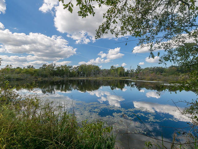 32 Old Plank Road Johnston, SC 29832 - Photo 2 of 30 2 PONDS