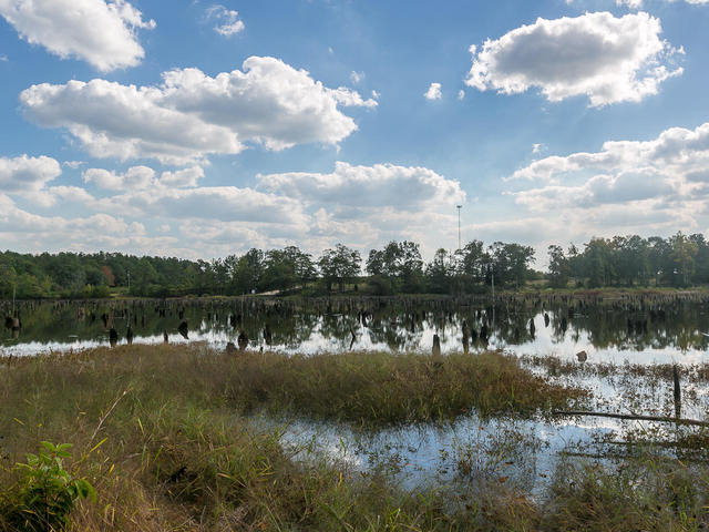 32 Old Plank Road Johnston, SC 29832 - Photo 29 of 30