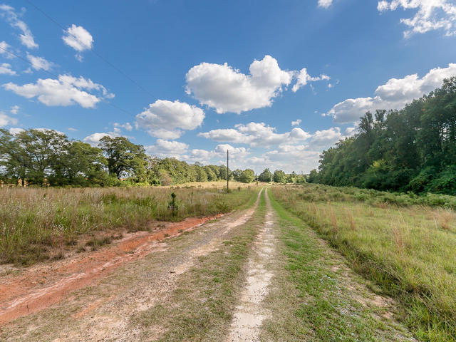 32 Old Plank Road Johnston, SC 29832 - Photo 3 of 30 PASTURES