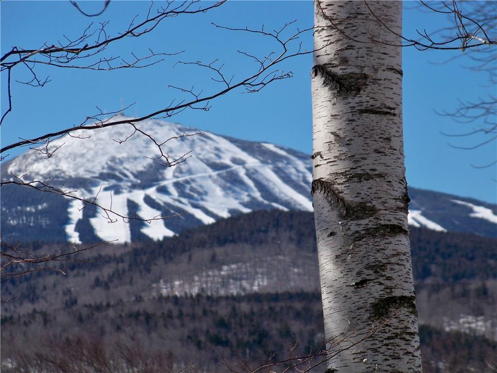 2011 Fox Hollow Road Carrabassett Valley, ME 04947 - Photo 2 of 16 Getting some snow!
