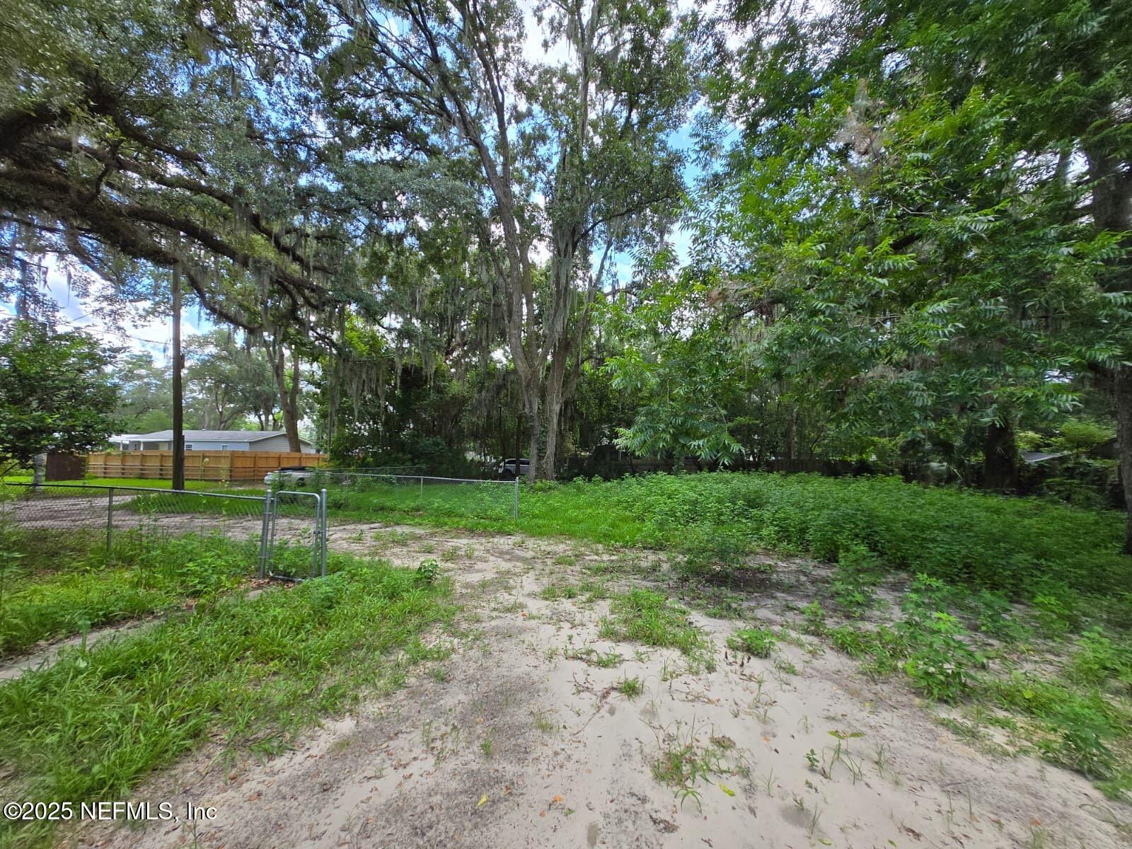 1336 Hogan Lane Jacksonville, FL 32221 - Photo 4 of 7 a view of a park with large trees