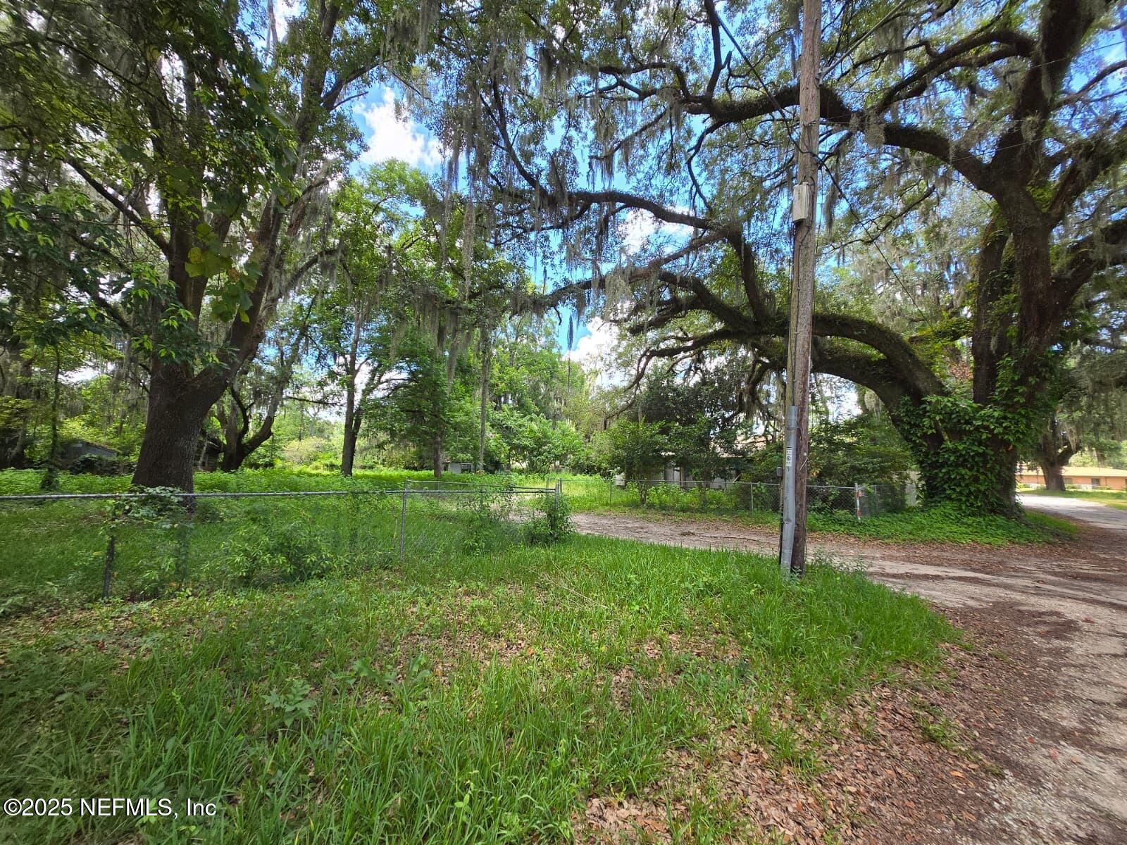 1336 Hogan Lane Jacksonville, FL 32221 - Photo 5 of 7 a view of a park with tree s