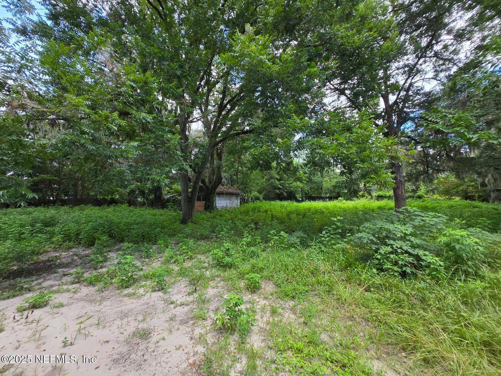 1336 Hogan Lane Jacksonville, FL 32221 - Photo 7 of 7 a view of a garden with a tree