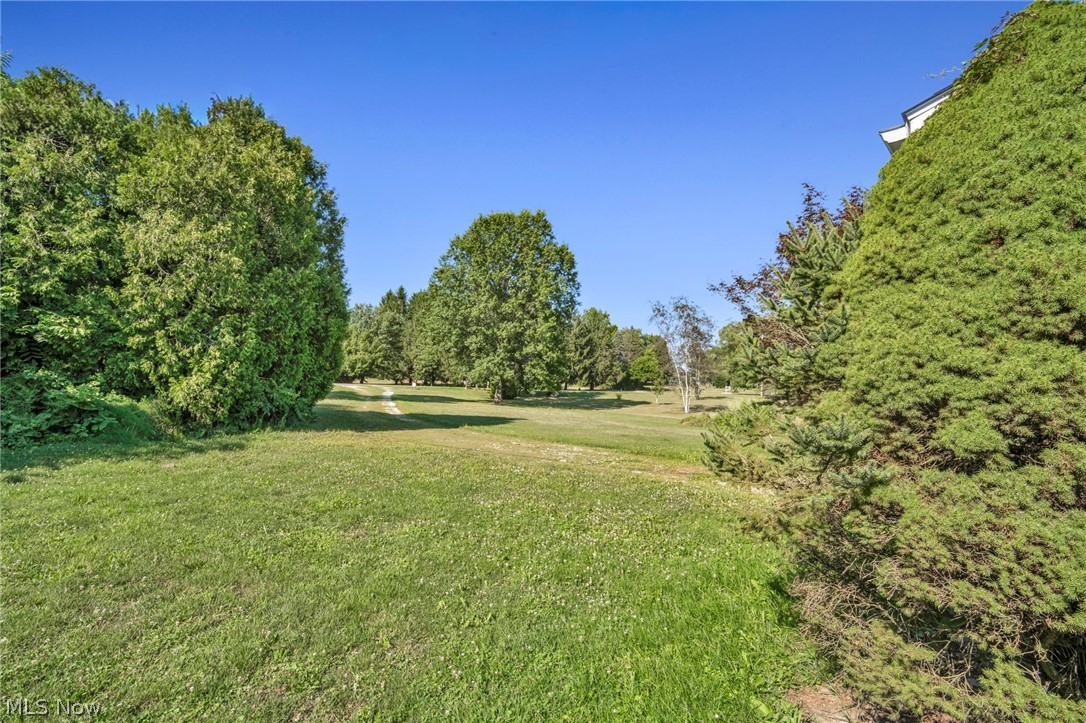 2642 Blake Road Wadsworth, OH 44281 - Photo 9 of 50 Expansive green lawn with mature trees and established perimeter landscaping