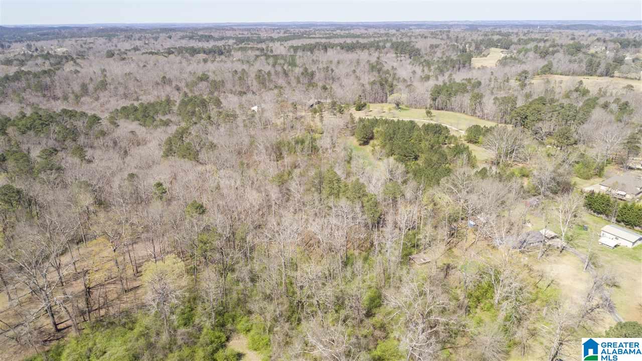 850 Rosemary Way Mount Olive, AL 35117 - Photo 6 of 12