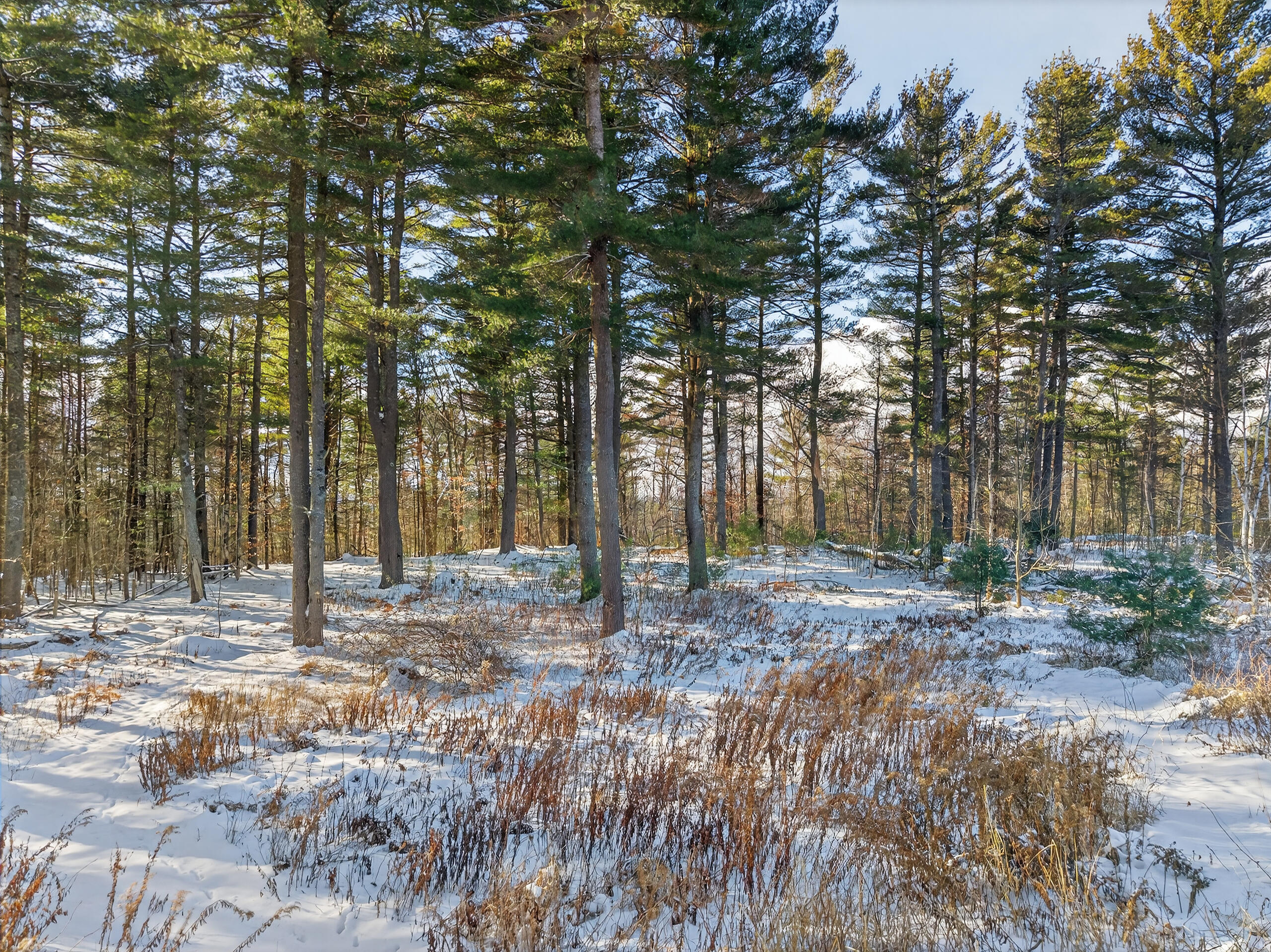 172 Baldwin Hill Road Fayette, ME 04349 - Photo 75 of 92 172 Baldwin Hill Rd_175