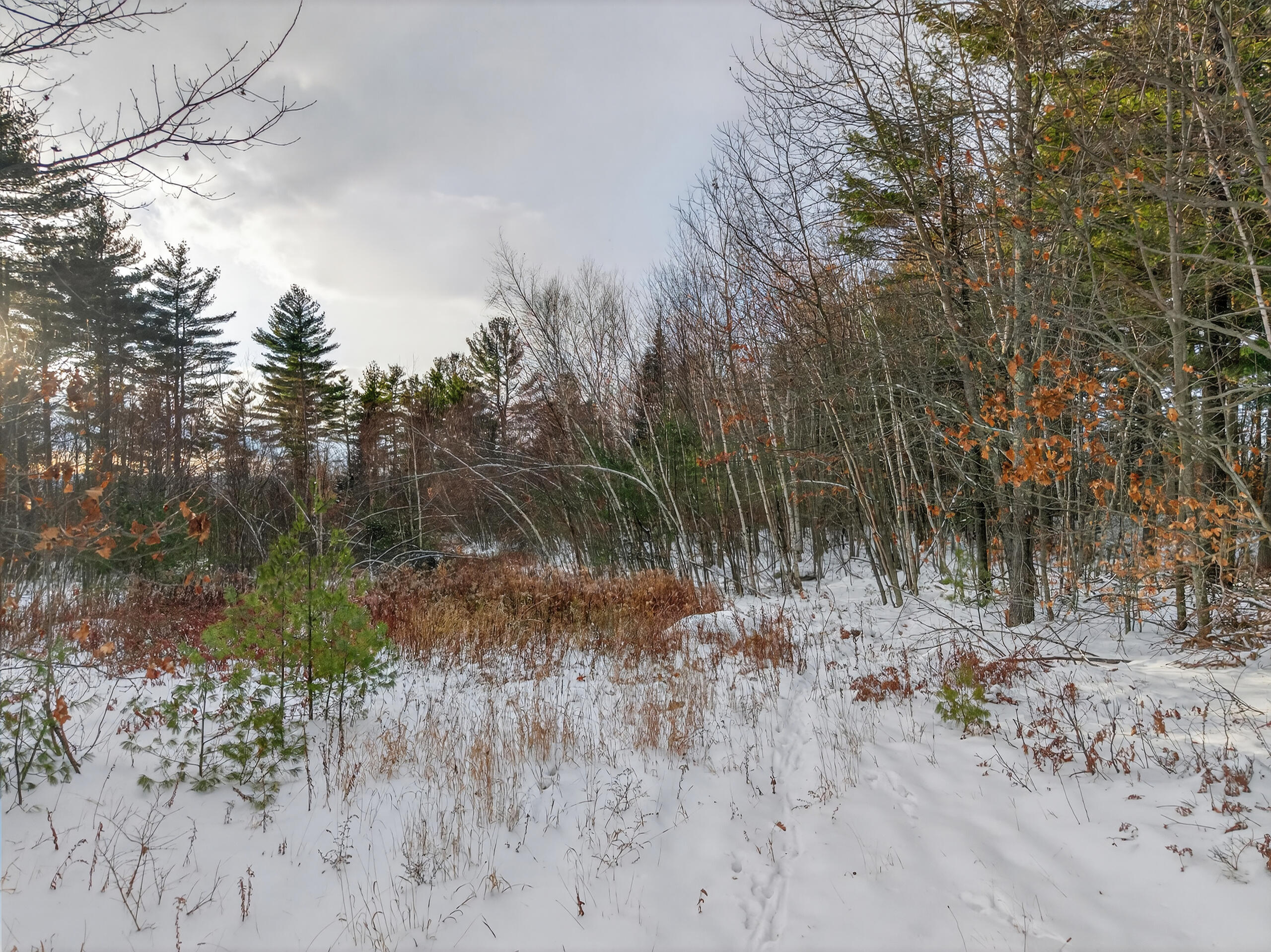 172 Baldwin Hill Road Fayette, ME 04349 - Photo 77 of 92 172 Baldwin Hill Rd_177