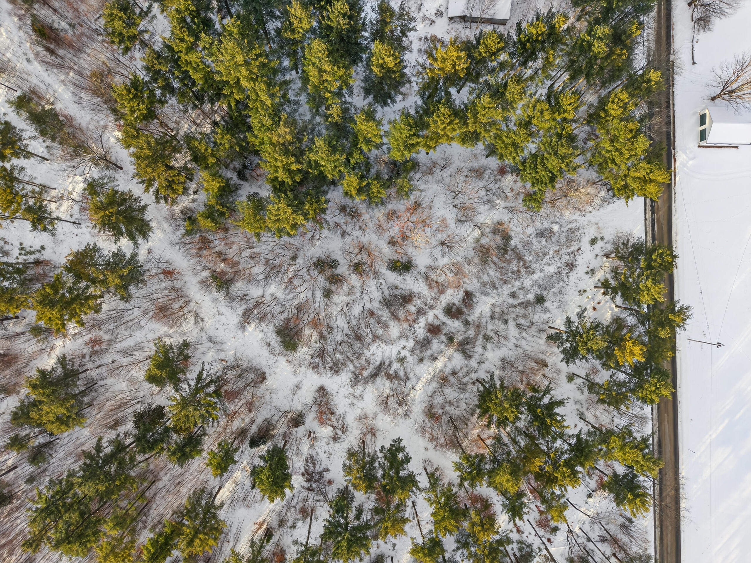 172 Baldwin Hill Road Fayette, ME 04349 - Photo 80 of 92 172 Baldwin Hill Rd_180