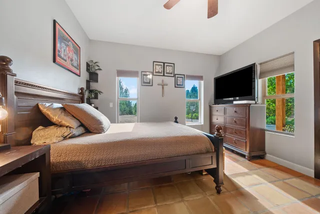 a view of a park with large trees