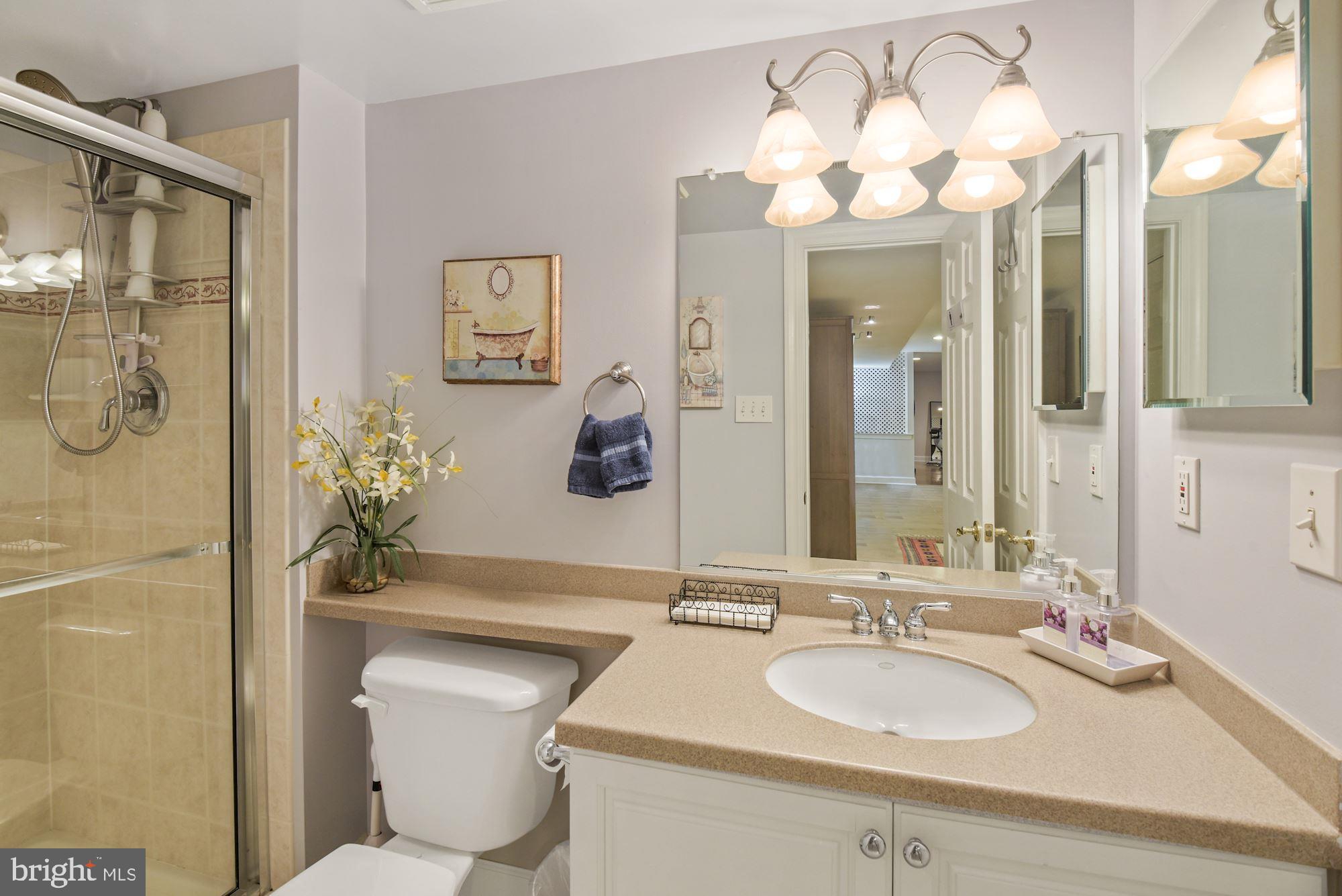 10415 Grey Fox Road Potomac, MD 20854 - Photo 49 of 58 Gallery Image 49