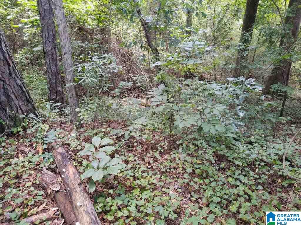 7821 Bagley Road, Unit 1 Dora, AL 35062 - Photo 8 of 10 Gallery Image 8