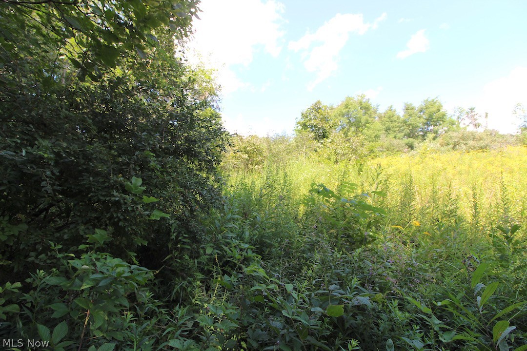 Delphi Road Freeport, OH 43973 - Photo 10 of 35 Gallery Image 10