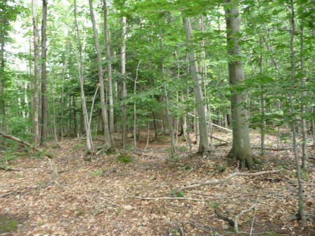 Ball Road Levering, MI 49755 - Photo 23 of 26 Gallery Image 23