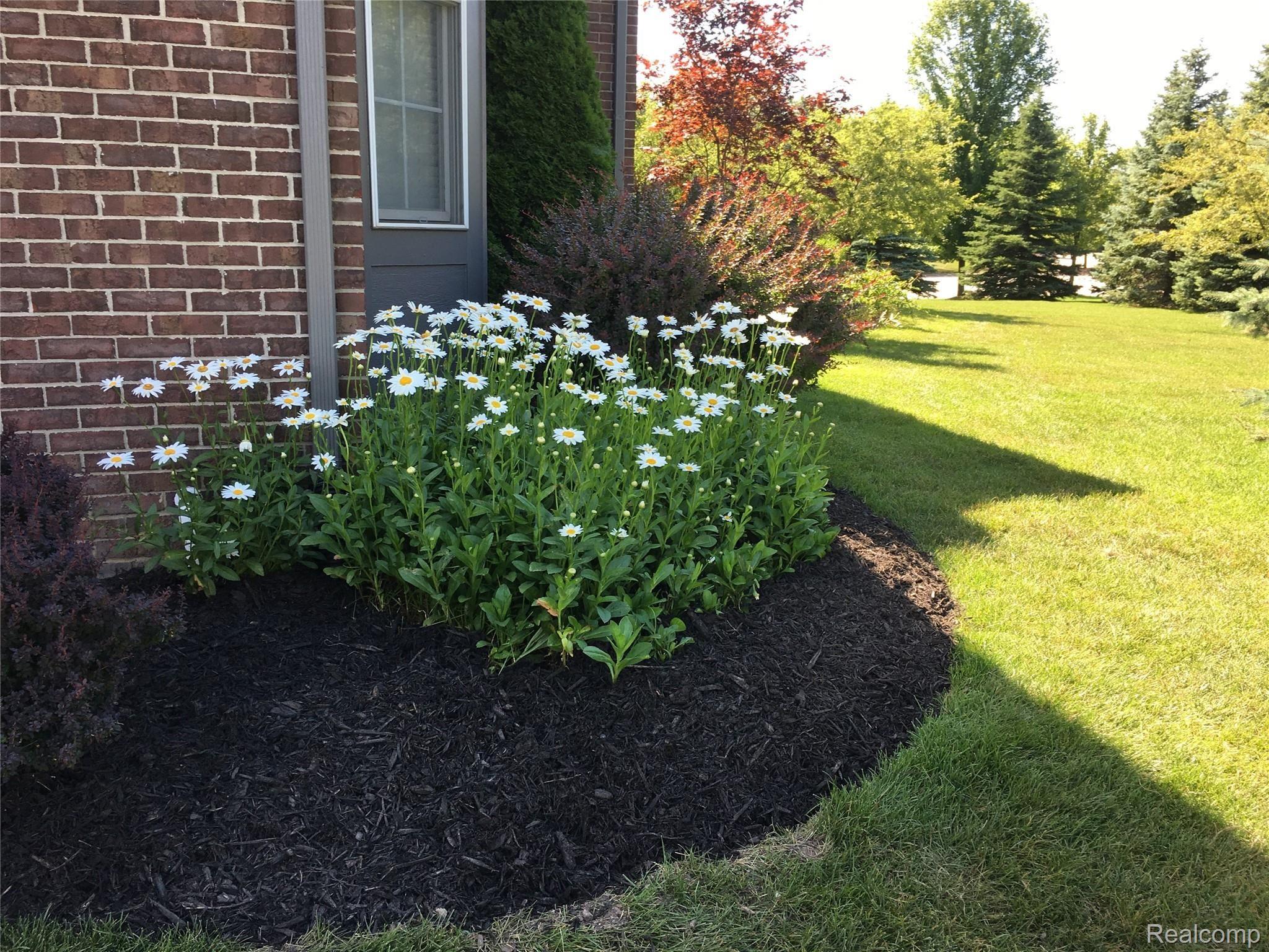 2428 Andover Boulevard Rochester, MI 48306 - Photo 57 of 64 IMG_2130.JPG