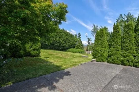 a view of a yard with plants and a large tree