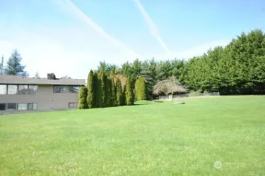 a backyard of a house with plants and large trees