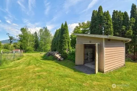 a view of a backyard with plants and a slide