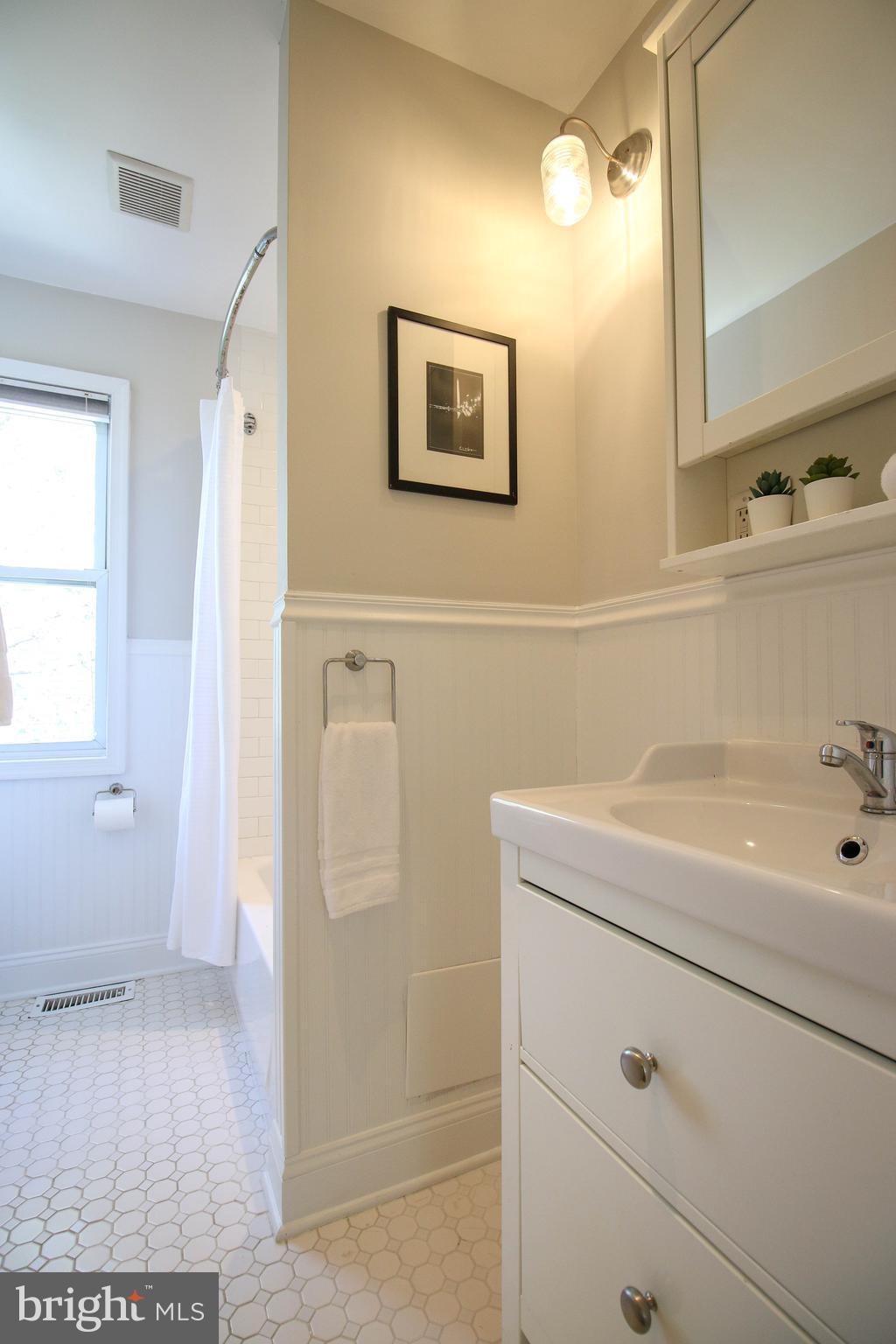103 17th Street Southeast Washington, DC 20003 - Photo 22 of 26 a bathroom with a sink a toilet and shower