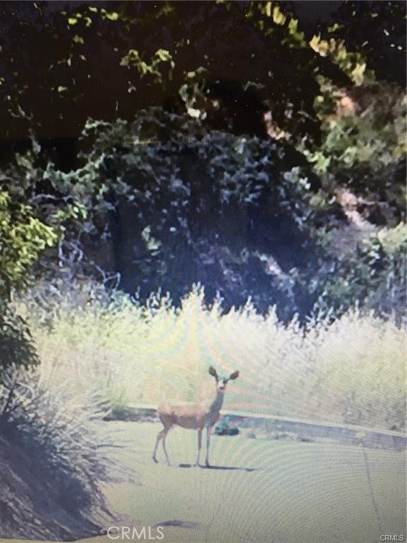 0 Dragonfly Street Glendale, CA 91206 - Photo 4 of 7 a view of outdoor seating