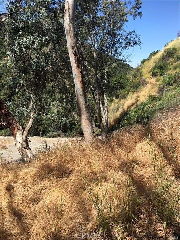 0 Dragonfly Street Glendale, CA 91206 - Photo 6 of 7 a view of a yard covered in snow
