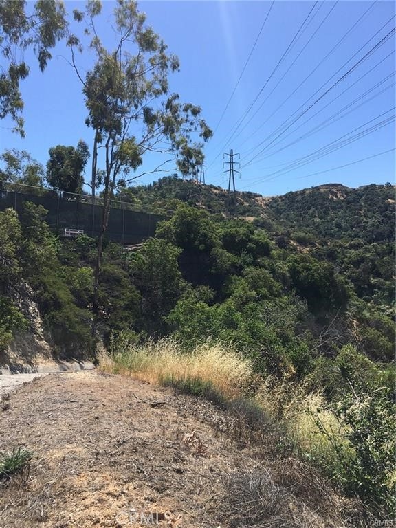 0 Dragonfly Street Glendale, CA 91206 - Photo 7 of 7 a view of a yard with a tree