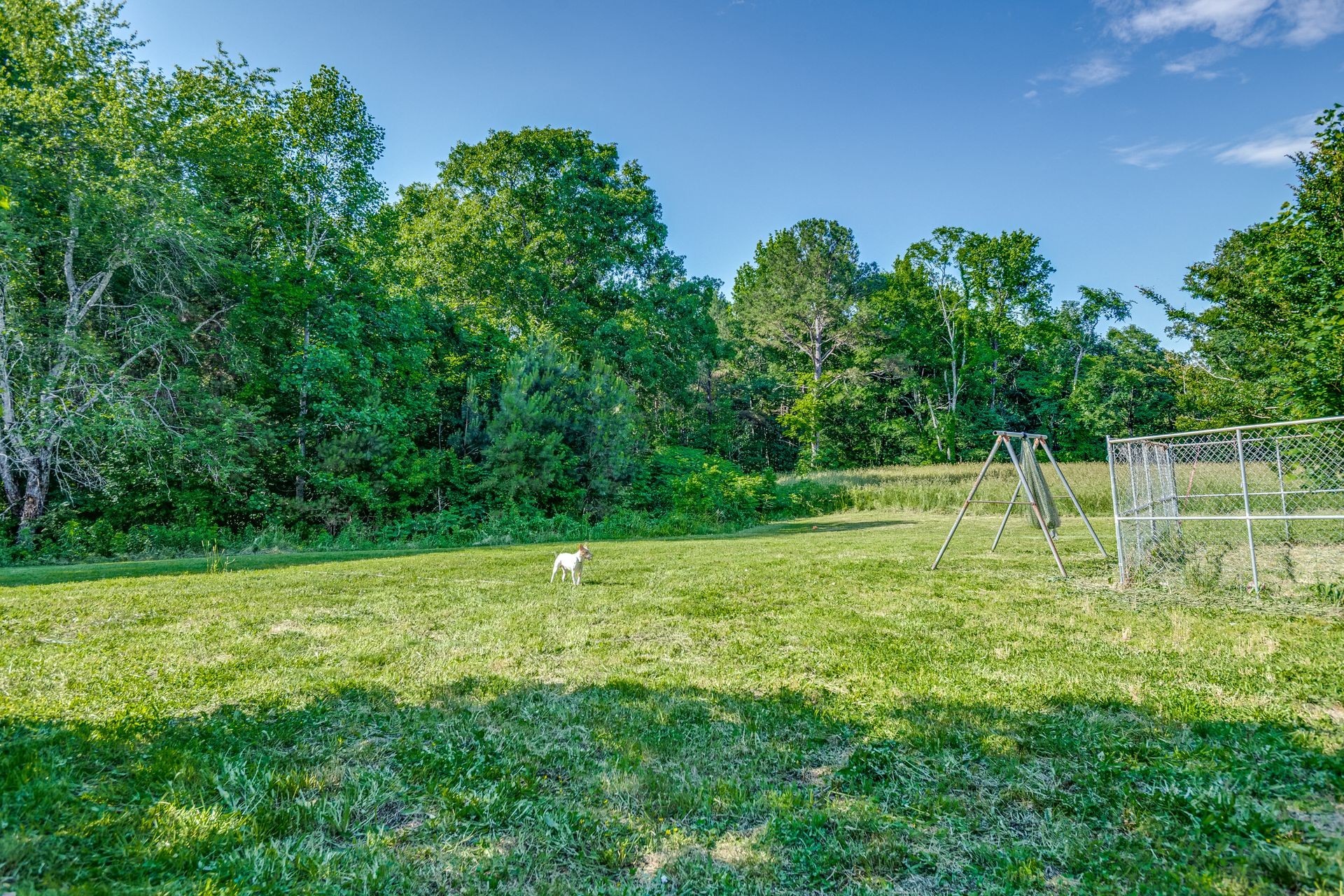 135 Old Union Church Road Holladay, TN 38341 - Photo 4 of 45 Gallery Image 4