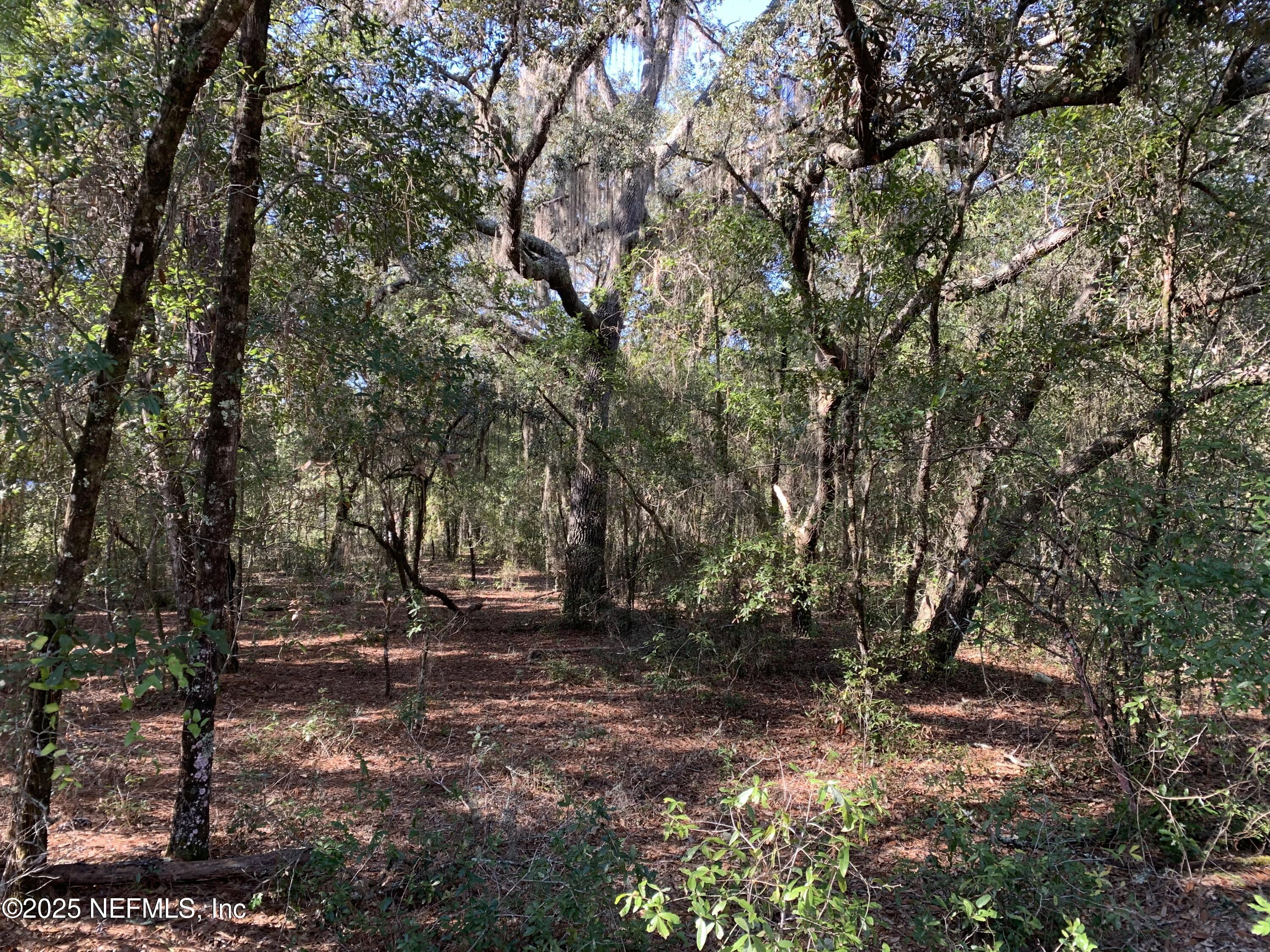 0 Drayton Avenue Interlachen, FL 32148 - Photo 1 of 16 a view of outdoor space with trees