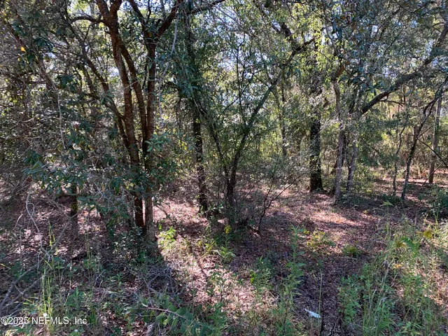 a backyard of a house with lots of plants and trees