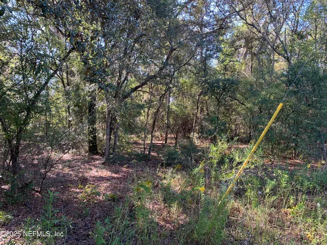 a backyard of a house with lots of trees