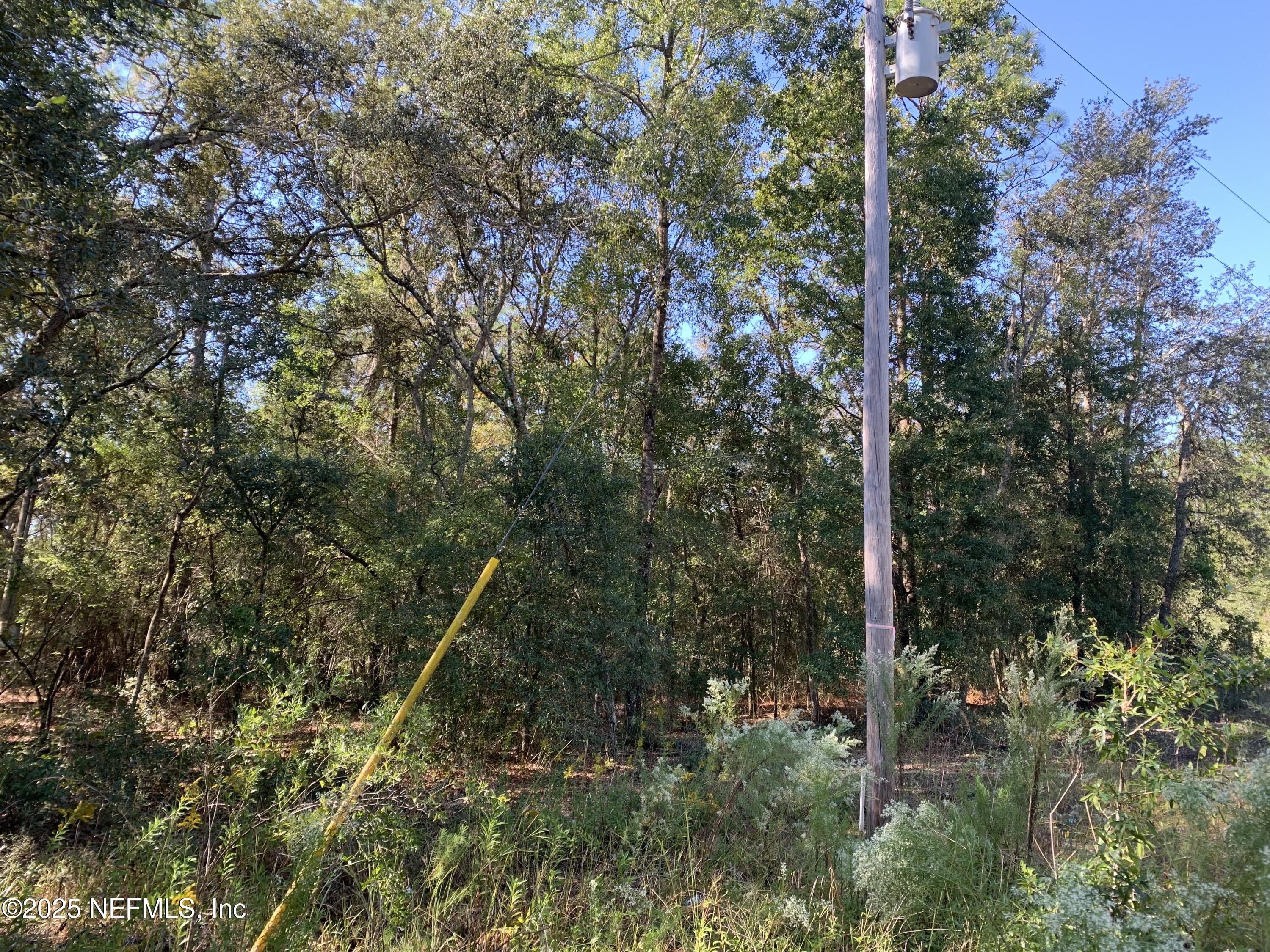 0 Drayton Avenue Interlachen, FL 32148 - Photo 15 of 16 a backyard of a house with lots of trees