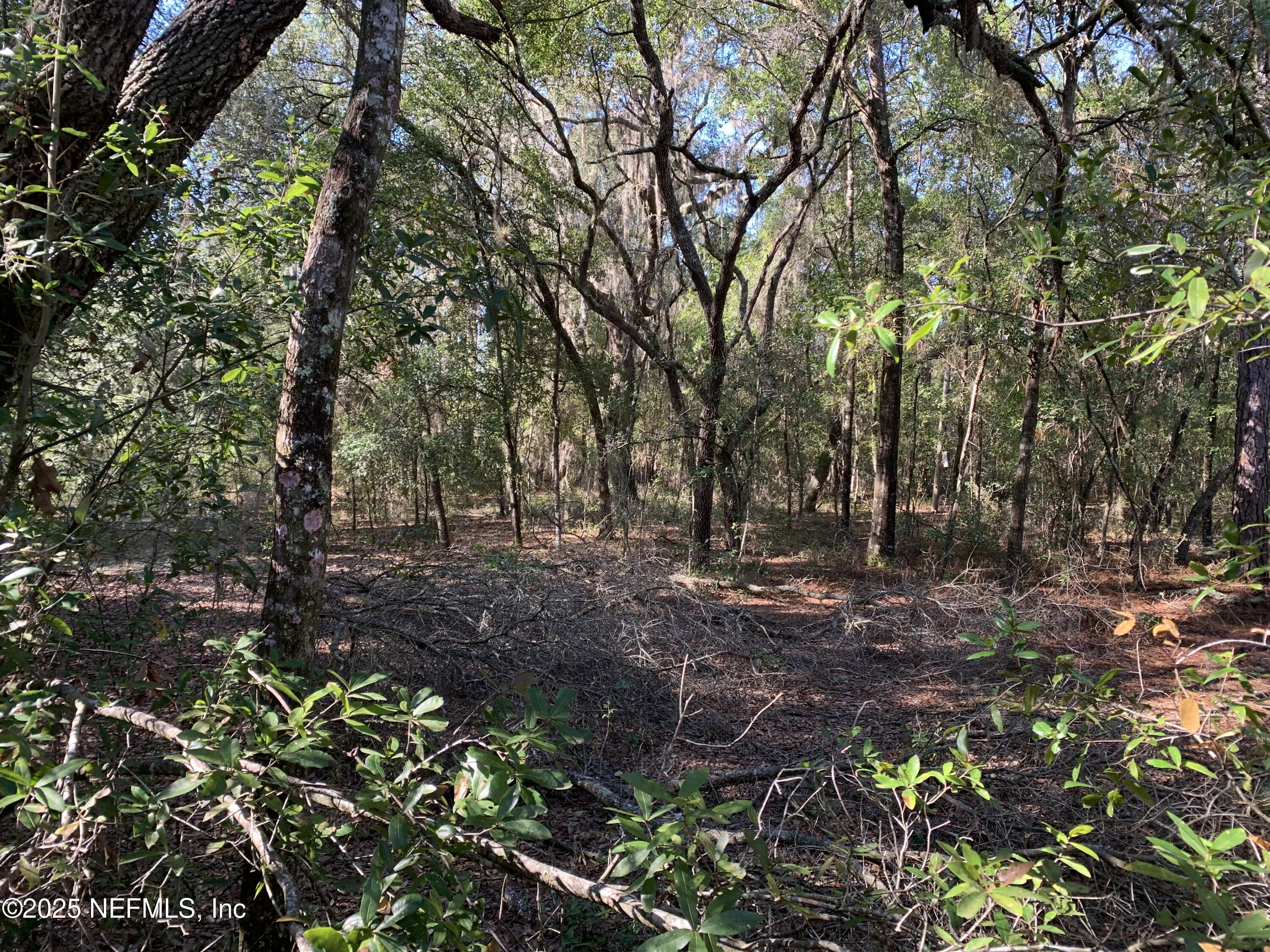 0 Drayton Avenue Interlachen, FL 32148 - Photo 7 of 16 a view of outdoor space with trees